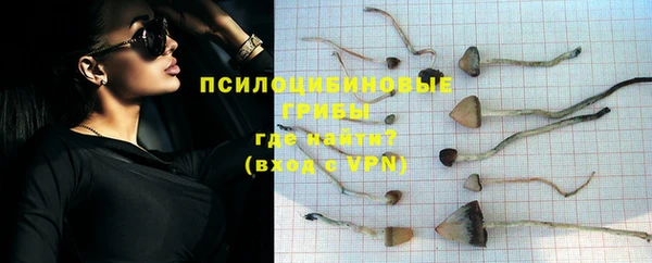 скорость mdpv Новодвинск